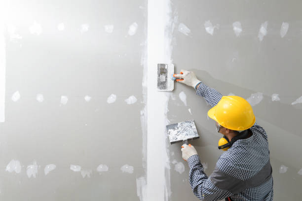 Best Drywall Crack Repair  in Argentine, MI